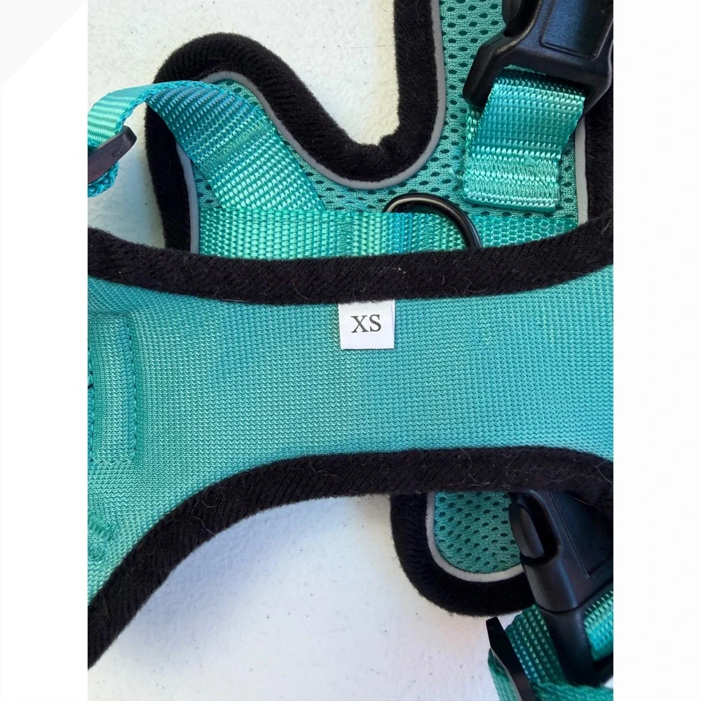 Rabbitgoo Dog Harness XS Teal No Pull Reflective Mesh Adjustabl Walking Vest Pet